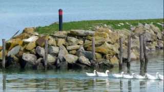 ISOLA MAGGIORE del LAGO TRASIMENO Umbria  Full HD [upl. by Nnailuj]