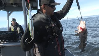 Garibaldi OR Lingcod Rockfish amp Crab [upl. by Irehs]