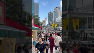 Shibuya Crossing Tokyos Busy Intersection [upl. by Mignonne]