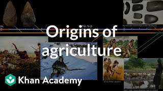 Origins of agriculture  World History  Khan Academy [upl. by Ardeen]