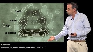 Arthur Horwich YaleHHMI Part 3 Where are proteins folded by chaperonins [upl. by Gilleod]