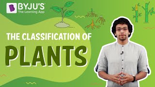 The Classification Of Plants  BYJUS [upl. by Suzie156]