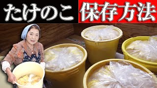 【基本】たけのこの保存方法｜１年後もシャキシャキ食感【冷凍しちゃダメ】 [upl. by Aicaca]