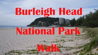 Burleigh Heads National Park Walk [upl. by Kaehpos210]