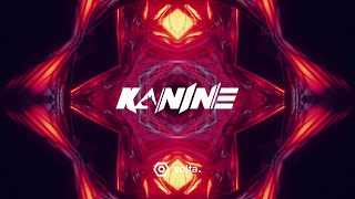 Kanine  Chemicals [upl. by Isolt]