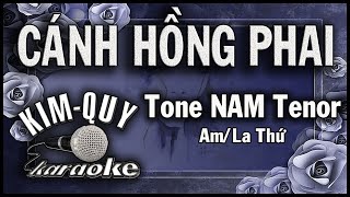 CÁNH HỒNG PHAI  KARAOKE  Tone NAM Tenor  Amla Thứ [upl. by Naesyar977]