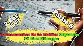 🔥🔥 Consommation De La Matière Organique Et Flux dénergie 🔻 Partie 6 🔻 2 Bac BIOF SVT 🔻1èr chapitre🔻 [upl. by Sucy]