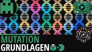 Mutation Grundlagen│Biologie Lernvideo Learning Level Up [upl. by Leanatan]