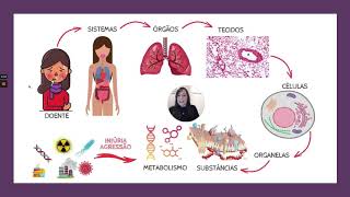 Degenerações Parte 1 Acúmulos Intracelulares  Resumo  Patologia [upl. by Cassady]