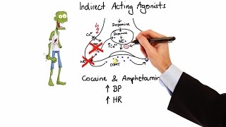 Pharmacology  ADRENERGIC RECEPTORS amp AGONISTS MADE EASY [upl. by Haleemaj]