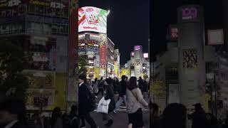 Shibuya Crossing Tokyo Japan [upl. by Blynn]