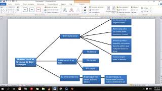 Como hacer esquemas en word [upl. by Humble201]