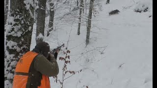 Domuz Avı melin Wild boar hunt Chasse au sanglier Caza de jabalí Türkiye [upl. by Townsend]