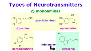 Neurotransmitters Type Structure and Function [upl. by Llerryt]