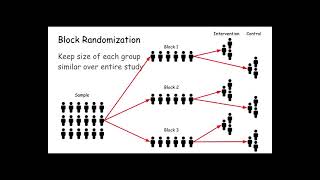 block randomization [upl. by Warwick]