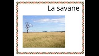 documentaire savane en maternelle [upl. by Ydnik771]