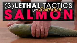 3  LETHAL TACTICS Beach Fishing For Aussie Salmon [upl. by Nnayhs]