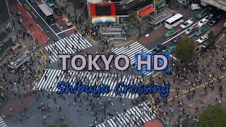 Shibuya Crossing Tokyo Rush Hour Cars Traffic in Japan with Busy Crowd of People on Shopping Street [upl. by Columbyne641]