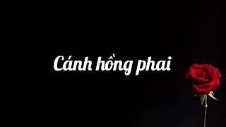 Cánh Hồng Phai  Phương Ý Lyric [upl. by Swanhilda]