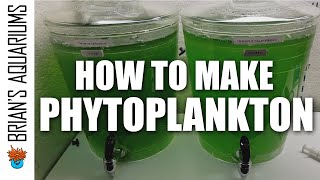 How to make Phytoplankton [upl. by Nigem514]