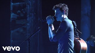 Shawn Mendes  Bad Reputation MTV Unplugged [upl. by Anircam]