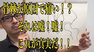 第32回【股関節痛】正しいレントゲン写真の見方はコレ！！ [upl. by Notnyw]