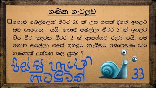 ශාමල් සර් ශිෂ්‍යත්ව Ganitha gatalu කෙටි ක්‍රම 33 🌈️ ගණිත ගැටලු Shamal Ranga [upl. by Althea948]