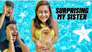 SURPRISING MY SISTER WITH A NEW DOG  Rimorav Vlogs [upl. by Olva]