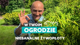 Niebanalne rośliny na żywopłot W Twoim ogrodzie [upl. by Arihsat]