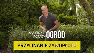 Jak przycinać żywopłot Sąsiedzkie Porady – Ogród [upl. by Ynetruoc]