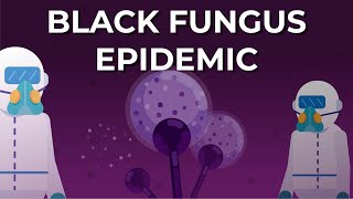 What is Black Fungus or Mucormycosis [upl. by Selec]