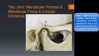 TMJ Basic Anatomy amp Biomechanics [upl. by Ative605]