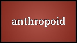 Anthropoid Meaning [upl. by Peti118]