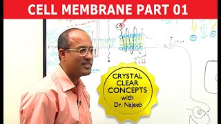 Cell Membrane Part 12 [upl. by Annayar9]