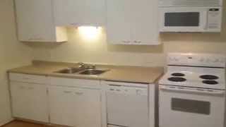 2 bedroom 1 bathroom basement apartment for rent [upl. by Oilerua334]