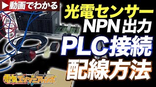 【動画で配線例を紹介！】光電センサーNPN出力をPLCに接続する時の配線方法 [upl. by Venable454]