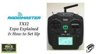 RadioMaster TX12 Expo Explained amp How to Set Up [upl. by Ddet]