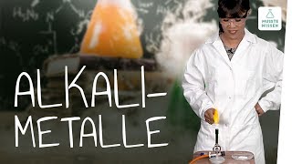 Alkalimetalle I Hauptgruppe Periodensystem I musstewissen Chemie [upl. by Bassett]