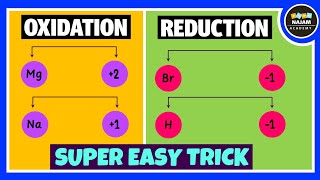 Oxidation and Reduction Reactions [upl. by Ocker]