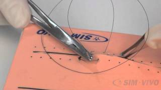 SIM SUTURE  5 Running Simple Sutures [upl. by Adnoyek]