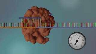 DNA Sequencing  3D [upl. by Rickey88]