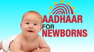 You need just 2 documents to enroll your child for Aadhaar card—check out these simple steps  UIDAI [upl. by Akihdar692]