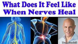 What Does It Feel Like When Nerves Are Healing in Your Body  Dr Alan Mandell DC [upl. by Shaver759]