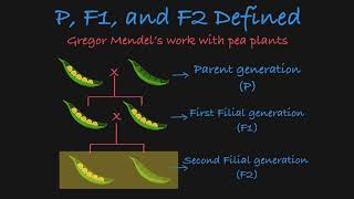 F2 VS PREMIER LEAGUE KEEPER [upl. by Hadden]