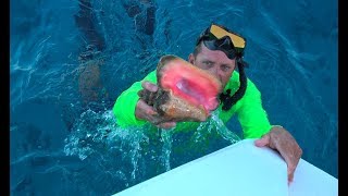 Queen Conch in The Exuma Cays Staniel Cay Catch Clean Cook [upl. by Eaves]