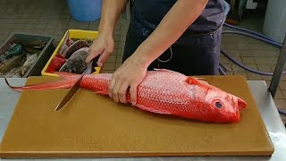 Watch Cool Fish Filleting Compilation Skills [upl. by Madelin]