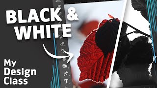 How to Create A BLACK amp WHITE Image in Photoshop [upl. by Frear]