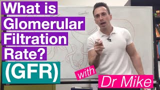 Glomerular Filtration Rate GFR  Renal System [upl. by Doloritas]