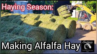 Haying Season Making Alfalfa HayJune 25 2022 [upl. by Limay]