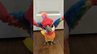 Hasbro FurReal Friends RockaToo Interactive The Show Bird Demo Parrot [upl. by Iaj]